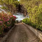Villa Bay Pine - Klodge