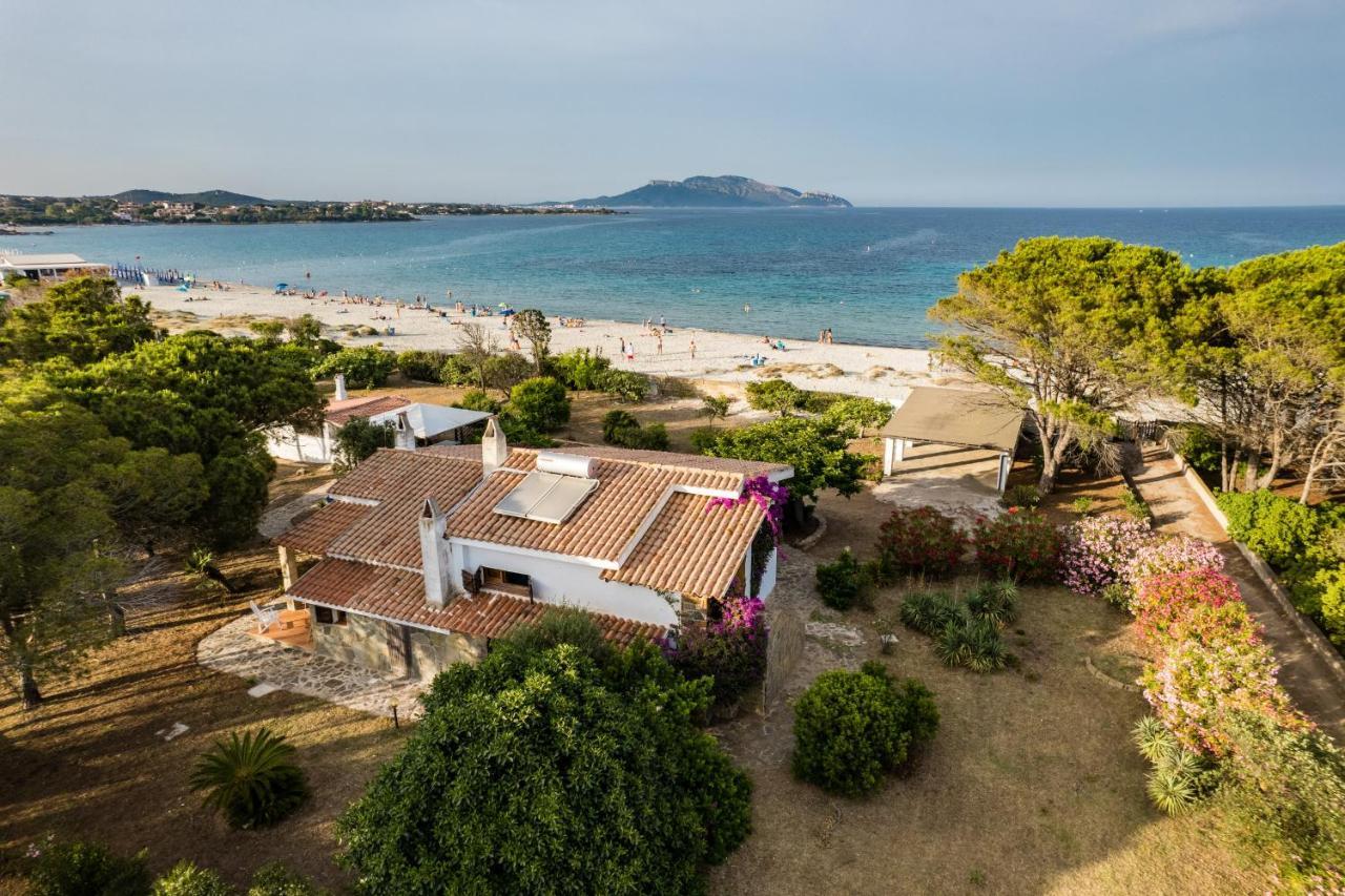 Bay Pine - Klodge * Olbia