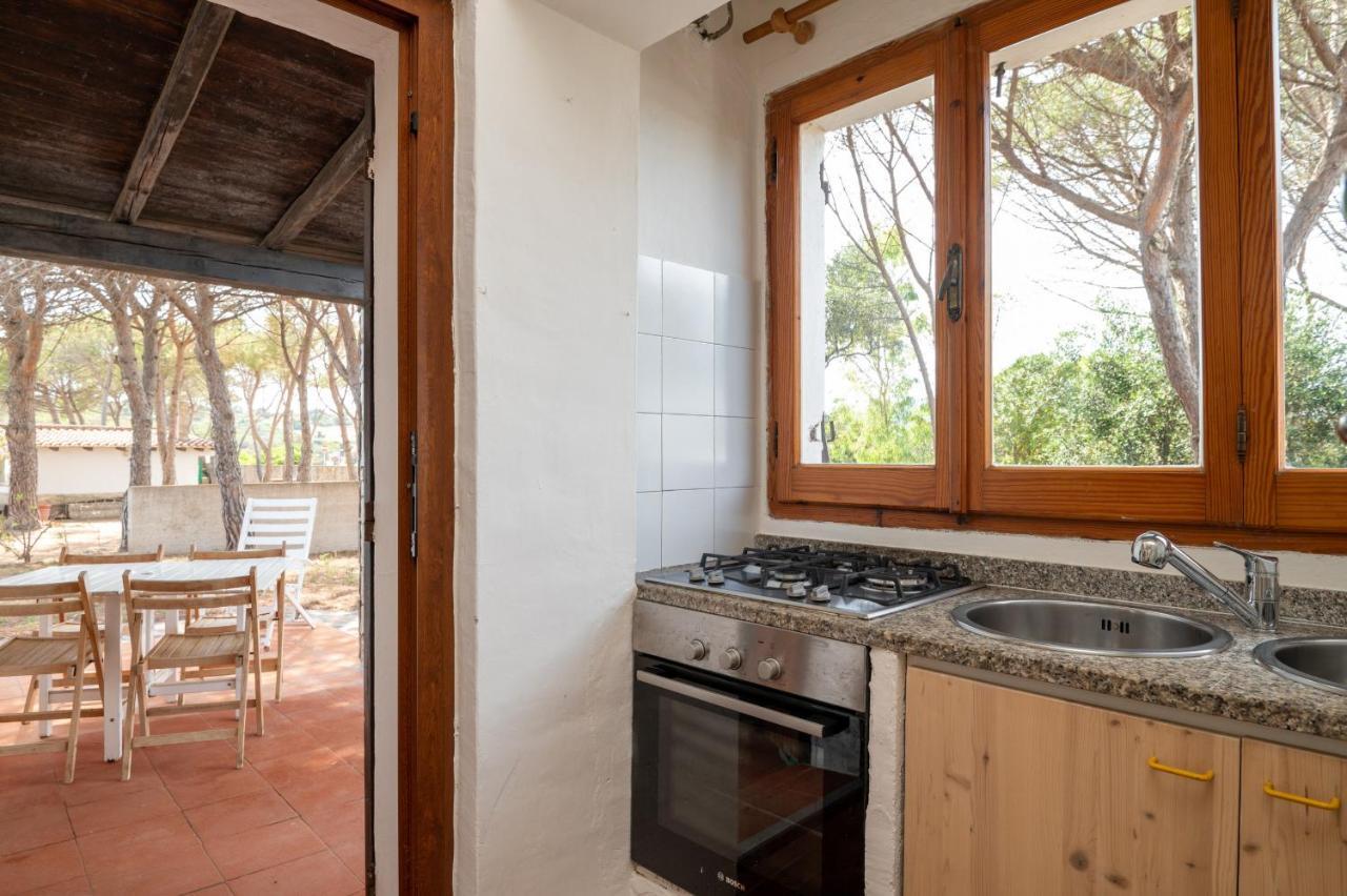 Bay Pine - Klodge Olbia