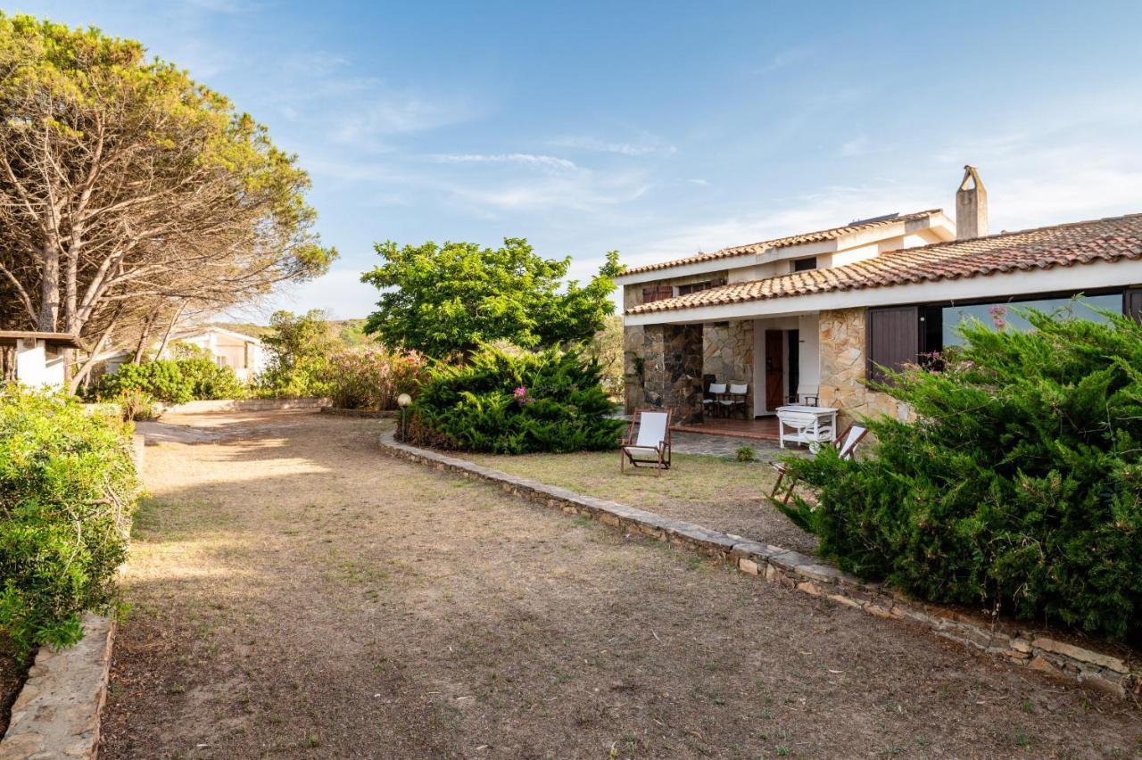 Bay Pine - Klodge Olbia