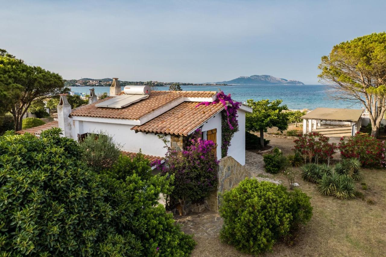 Bay Pine - Klodge Villa