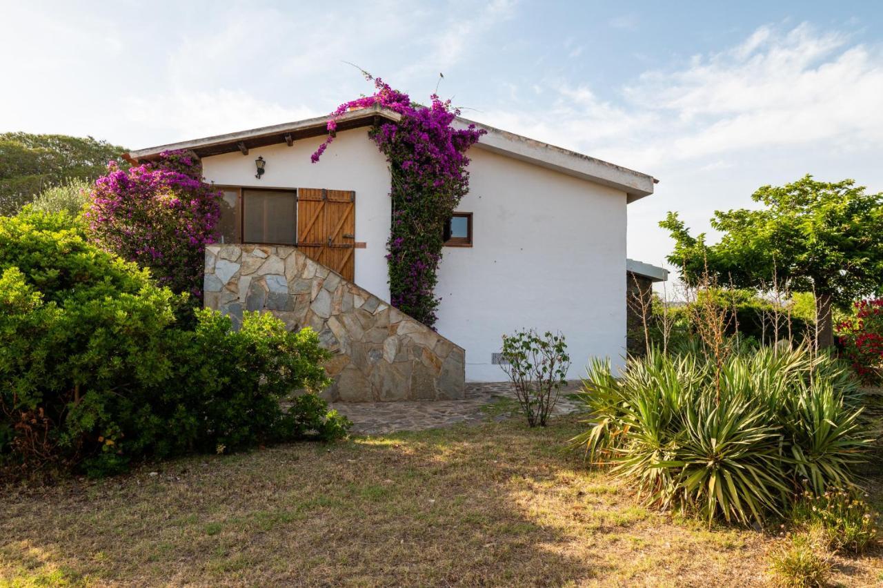 Bay Pine - Klodge Villa
