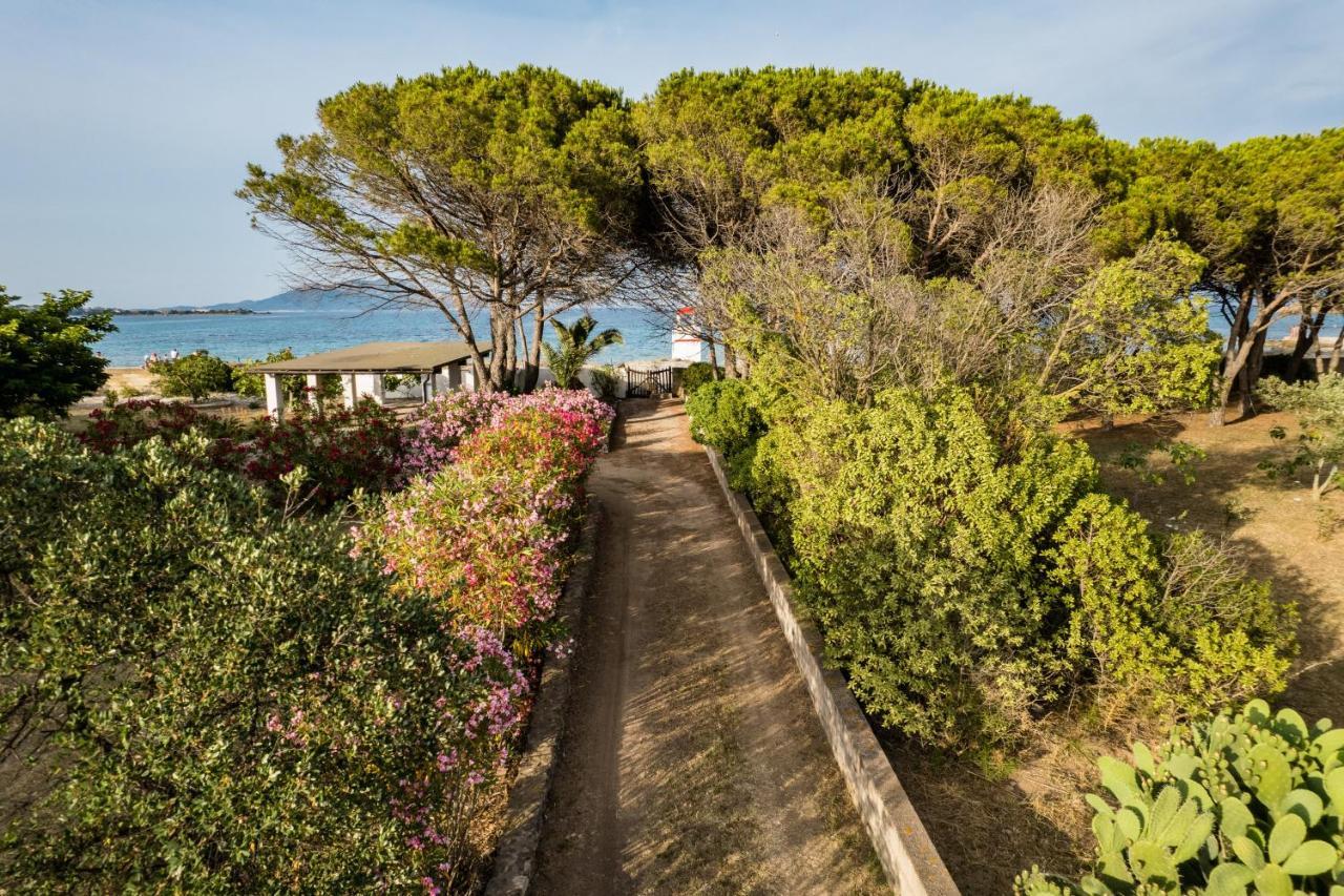 Bay Pine - Klodge Villa Olbia