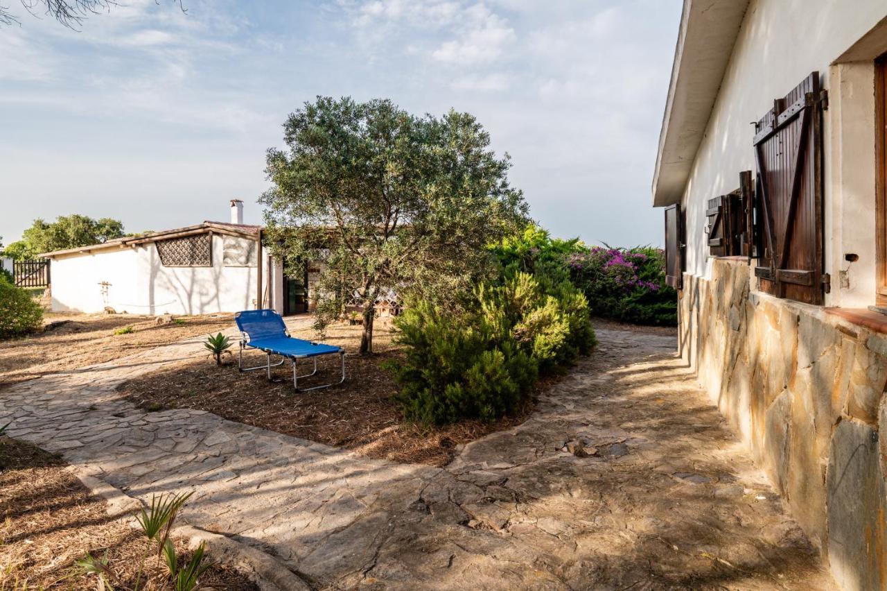 Bay Pine - Klodge Villa Olbia