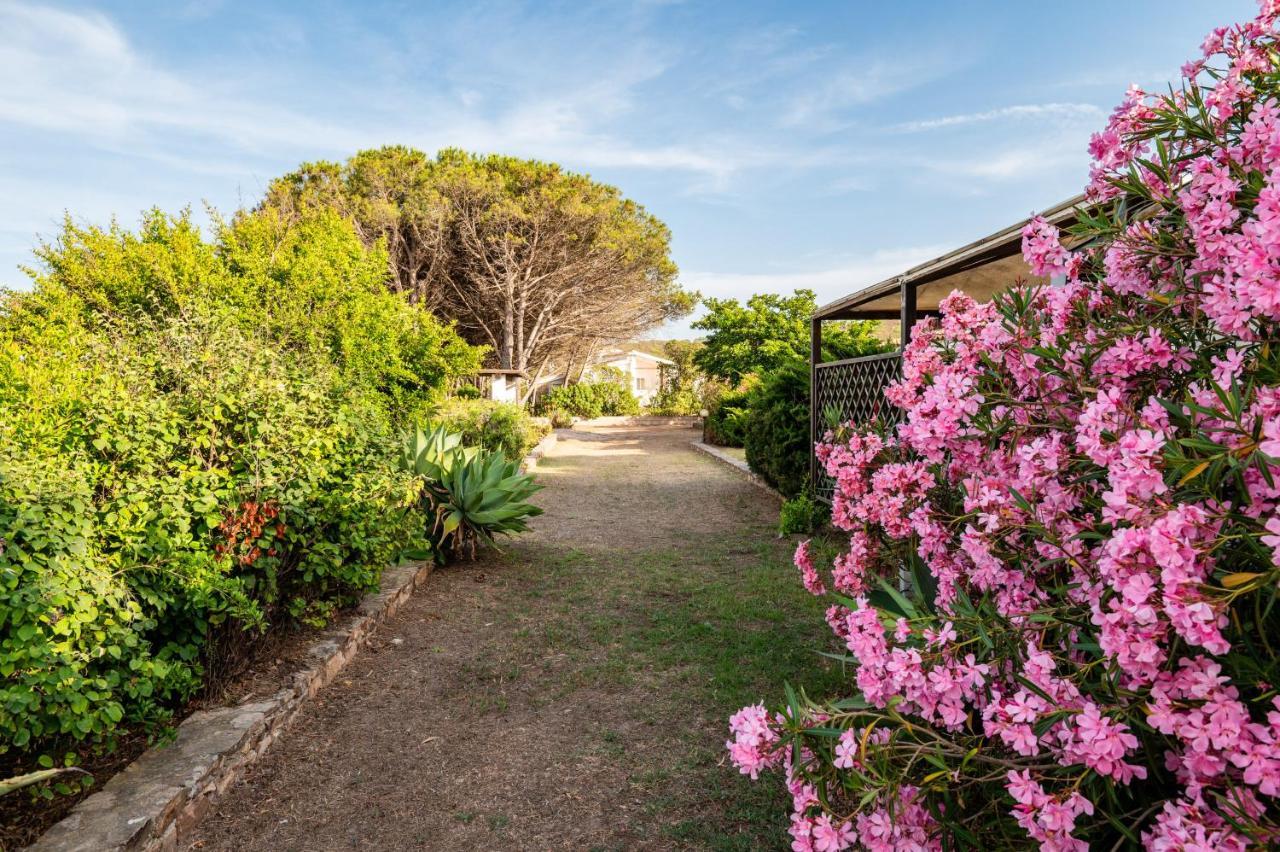 Bay Pine - Klodge Villa *