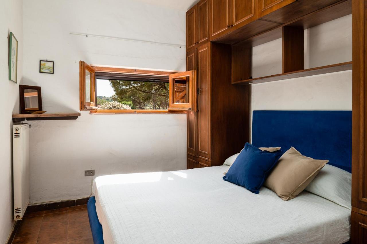 Bay Pine - Klodge Villa Olbia